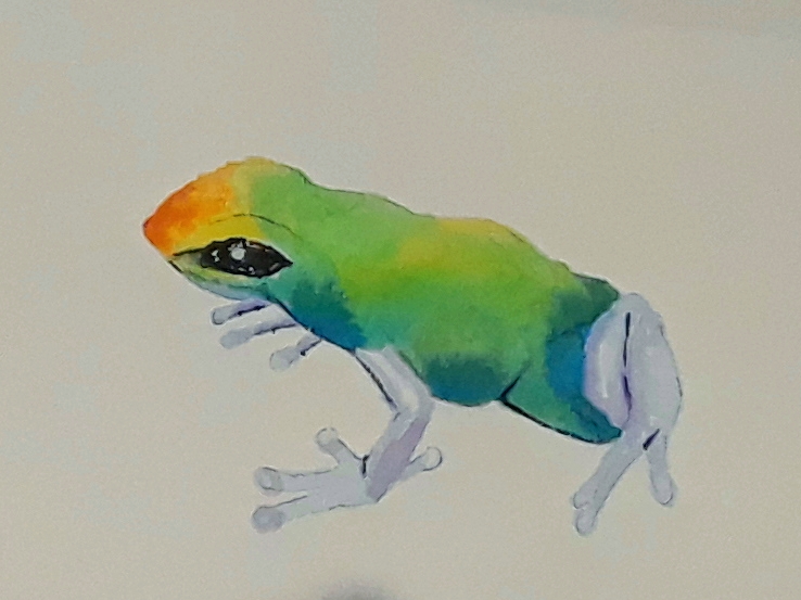 watercolor frog